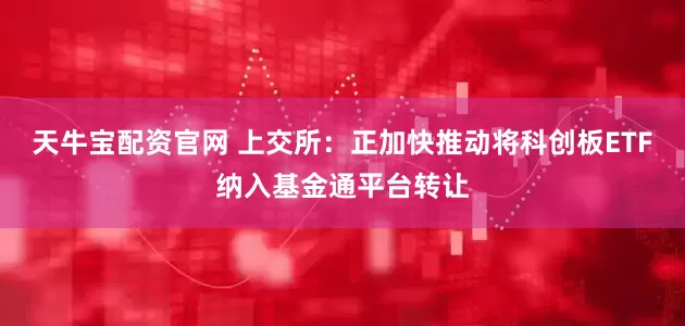 天牛宝配资官网 上交所：正加快推动将科创板ETF纳入基金通平台转让