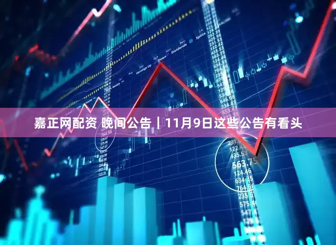 嘉正网配资 晚间公告｜11月9日这些公告有看头